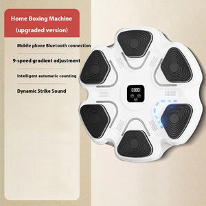 Smart Music Boxing Machine Target Training Equipment